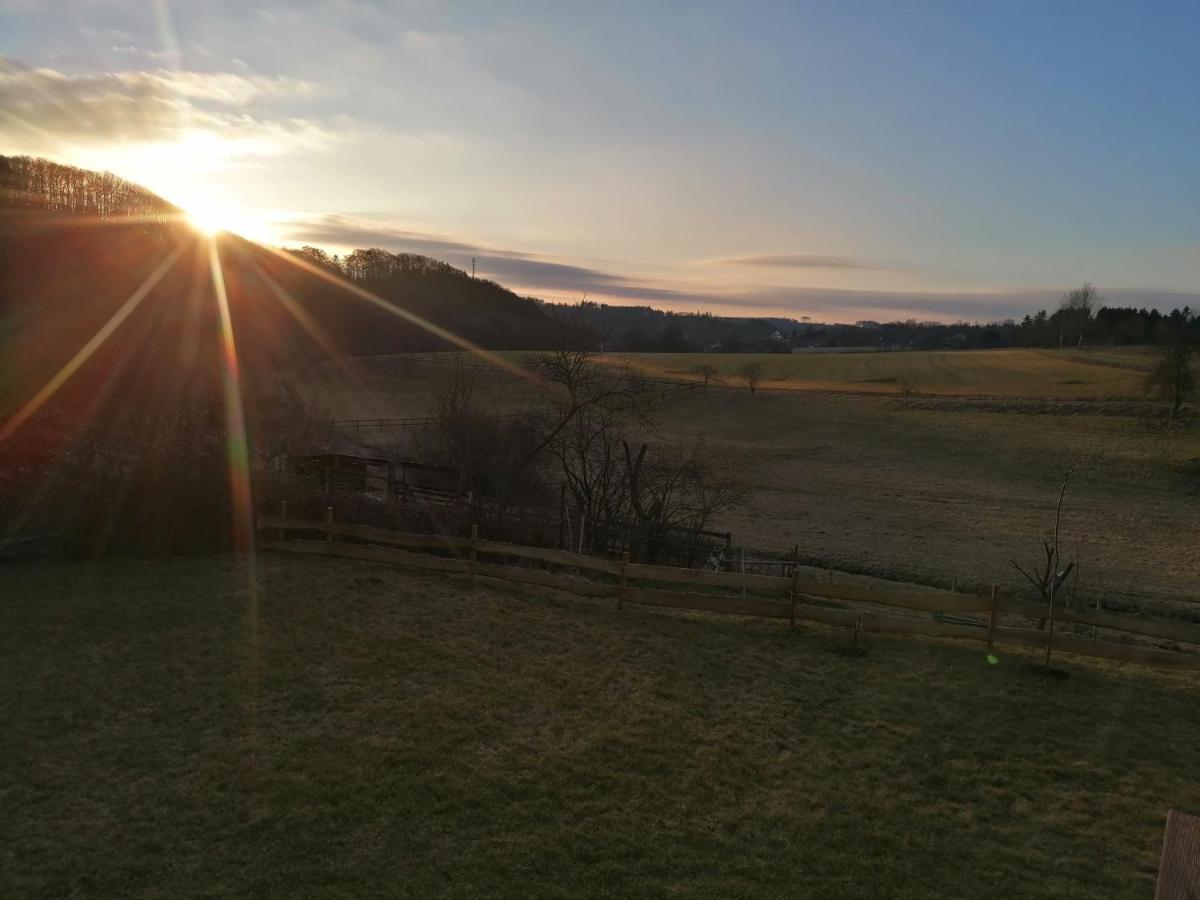 Ferienwohnung Christine Mit Sauna Und Whirlpool Utzerath ภายนอก รูปภาพ
